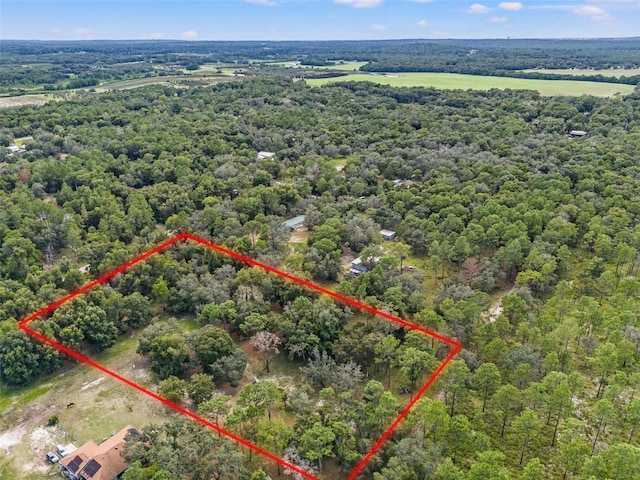 Evaline St, Brooksville, FL 34601 - photo 3