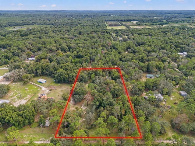 Evaline St, Brooksville, FL 34601 - photo 4