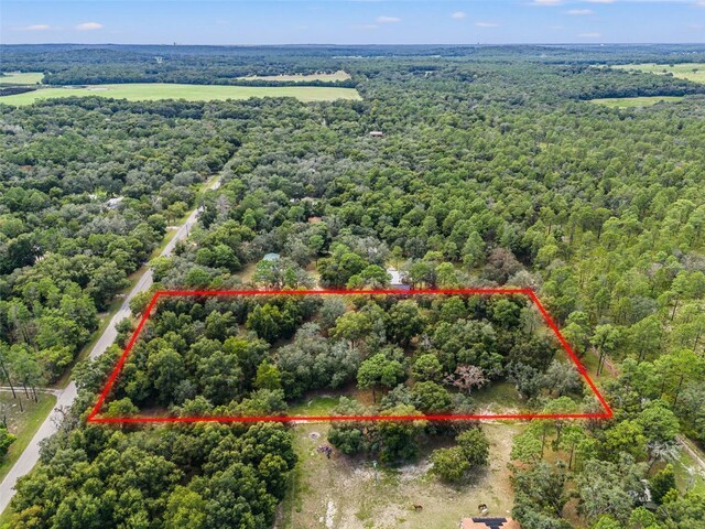 Evaline St, Brooksville, FL 34601 - photo 5