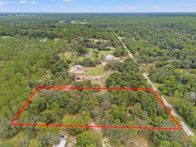 Evaline St, Brooksville, FL 34601 - photo 6