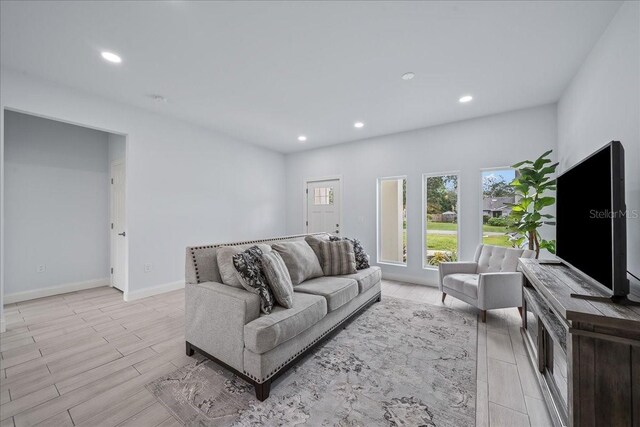 living room featuring light hardwood / wood-style flooring