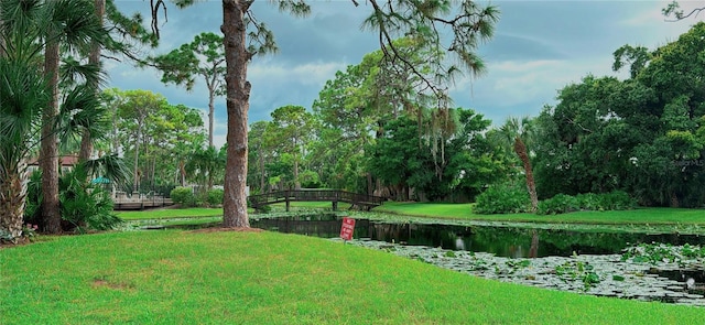 view of yard featuring a water view