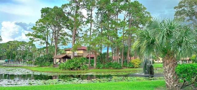 view of property's community with a lawn