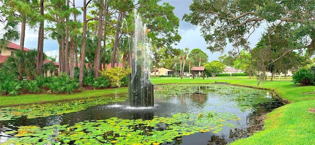 view of community featuring a water view and a lawn