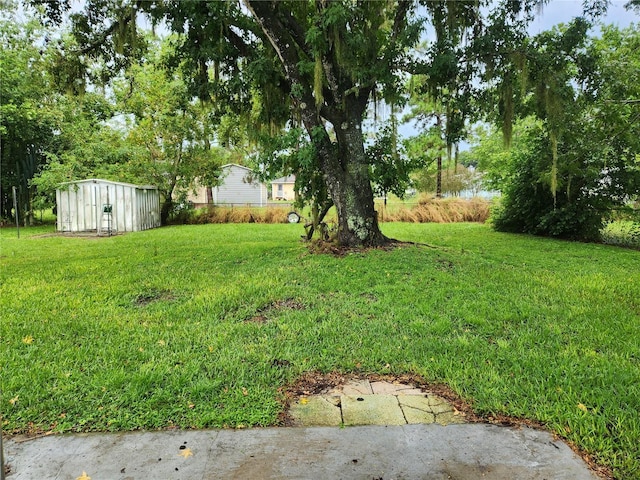 view of yard featuring a storage shed