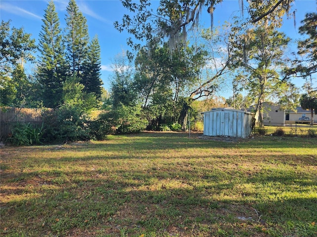 view of yard with a storage shed