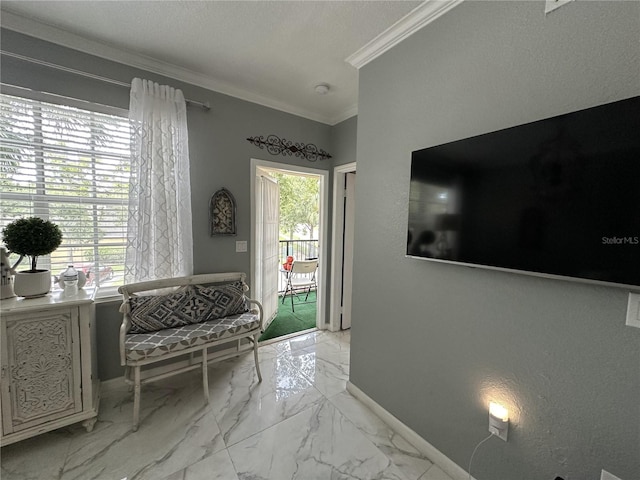 interior space with ornamental molding and a wealth of natural light