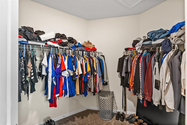 walk in closet with carpet flooring