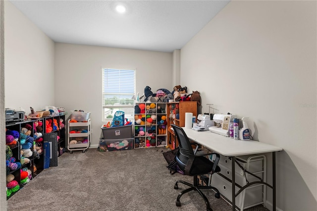 office area featuring carpet