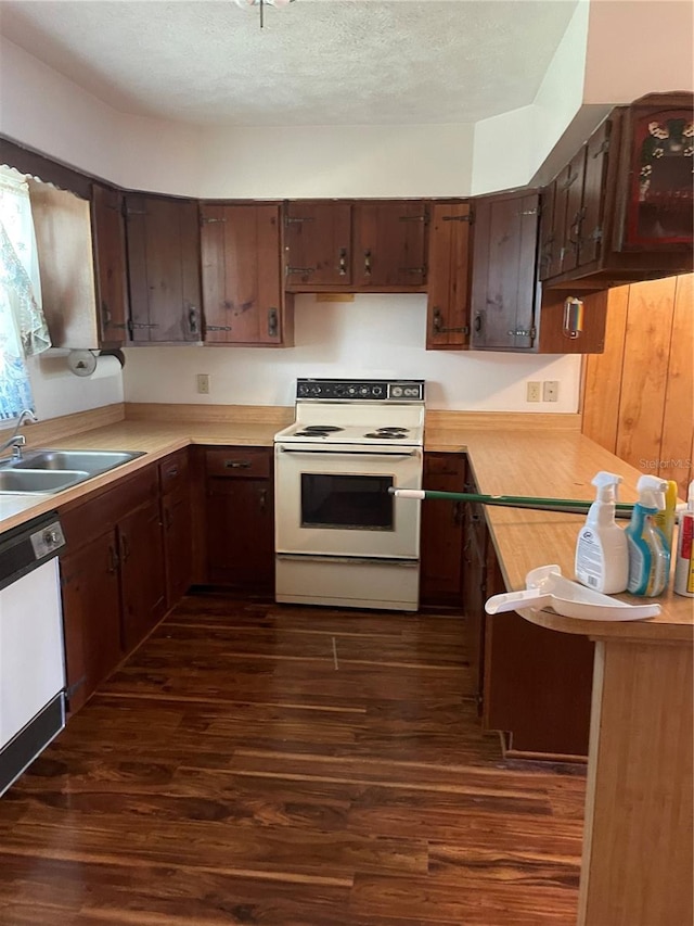 kitchen featuring a textured ceiling, dishwasher, white range with electric cooktop, sink, and dark hardwood / wood-style floors