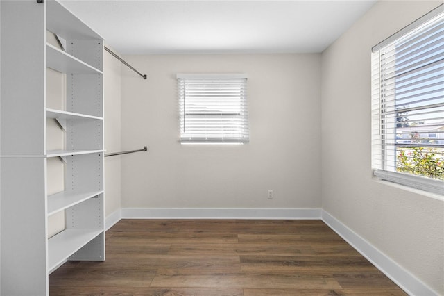 walk in closet featuring dark hardwood / wood-style flooring