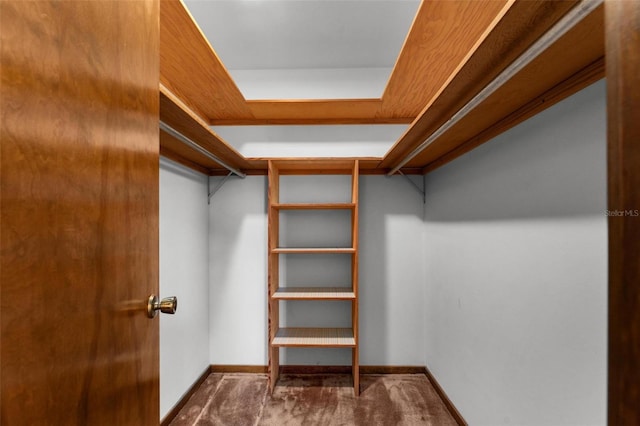 walk in closet with carpet