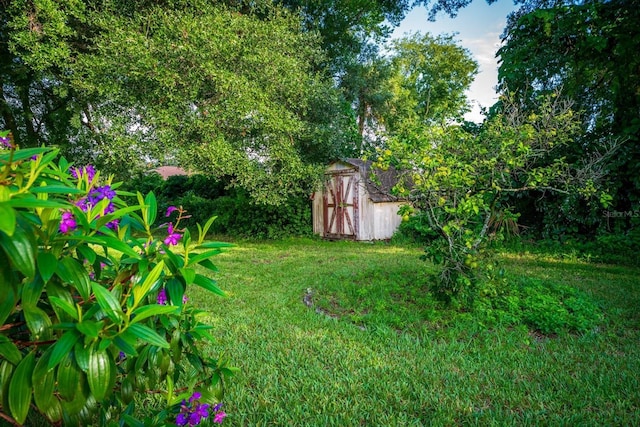 view of yard featuring a shed