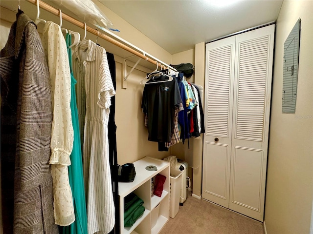 spacious closet featuring light colored carpet