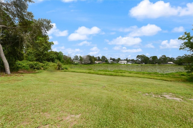 view of yard with a rural view