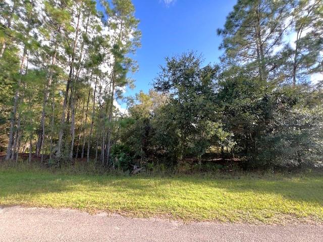 405 Pandora Dr, Indian Lake Estates FL, 33855 land for sale