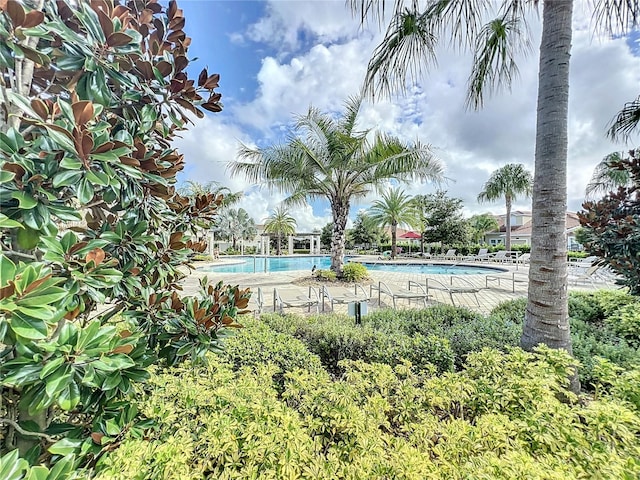 view of swimming pool