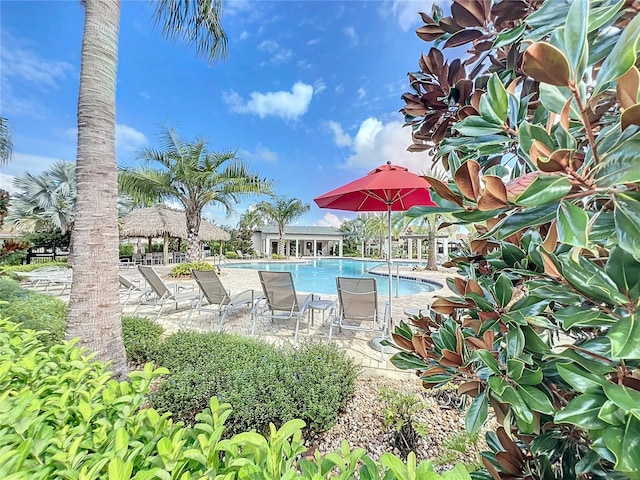 view of swimming pool with a patio area