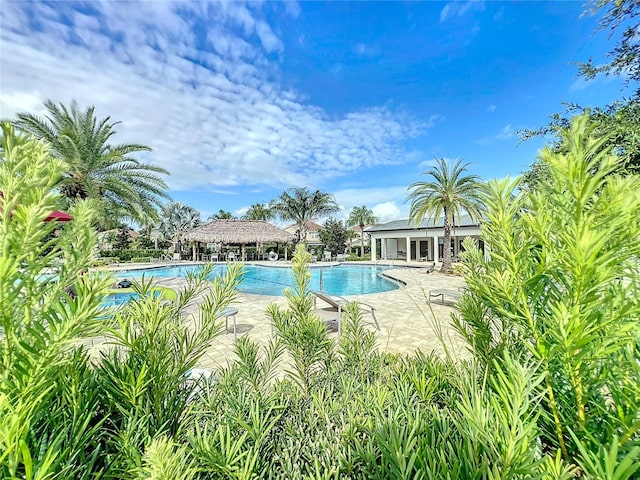 view of swimming pool with a patio area