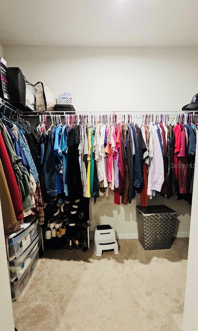 spacious closet with carpet