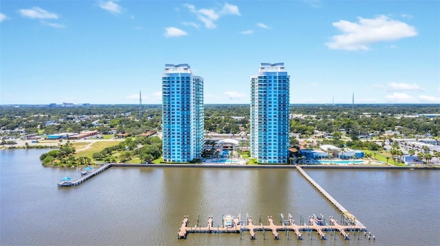 bird's eye view with a water view