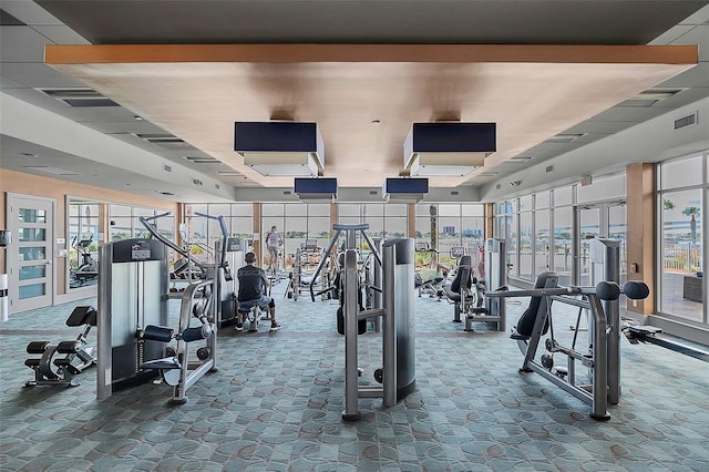 workout area with carpet floors