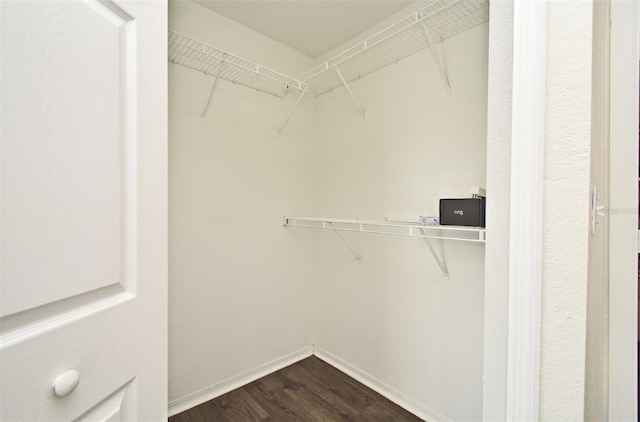 walk in closet featuring wood-type flooring