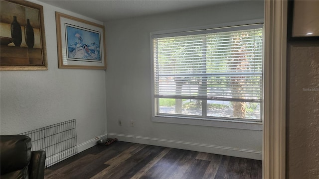 interior space featuring dark wood-type flooring