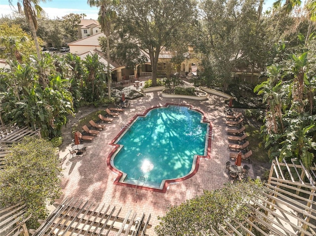 view of swimming pool with a patio