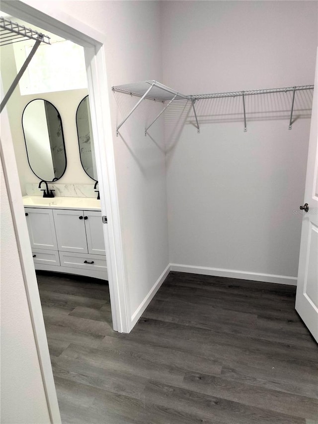 walk in closet with dark wood-type flooring and sink