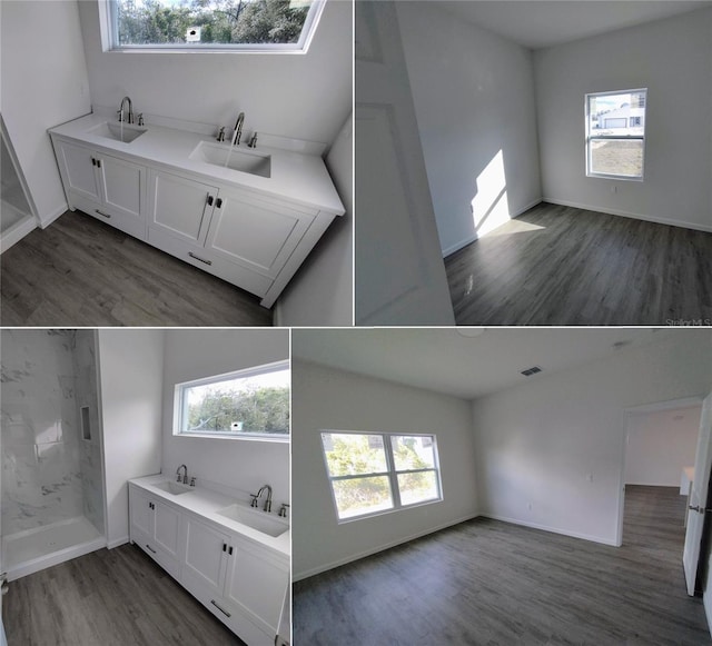 bathroom featuring vanity, a wealth of natural light, and wood-type flooring