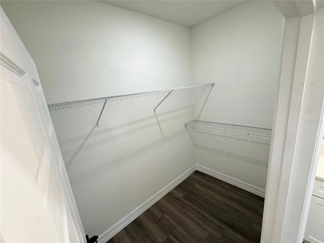 walk in closet with dark wood-type flooring