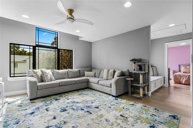 living room featuring ceiling fan and wood-type flooring