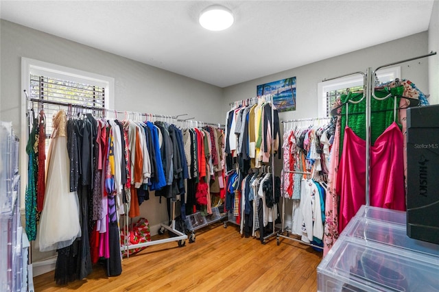 spacious closet with light wood-type flooring