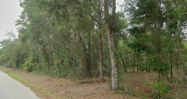 7585 W Leisure St, Dunnellon FL, 34433 land for sale