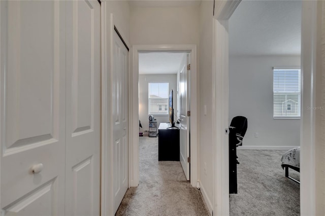 hall with a healthy amount of sunlight and light colored carpet