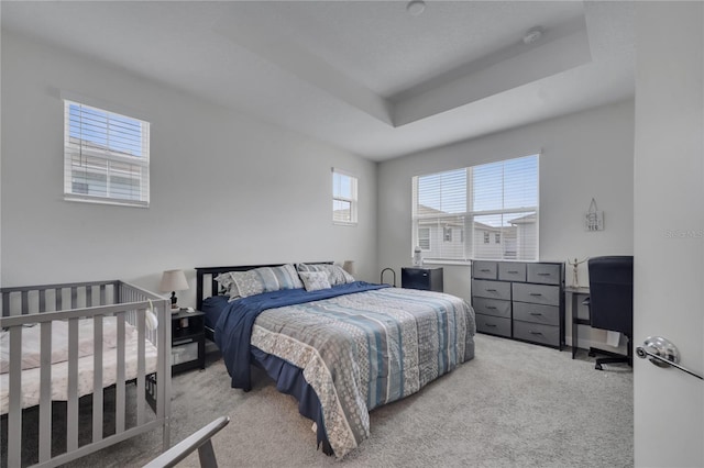 carpeted bedroom featuring a tray ceiling