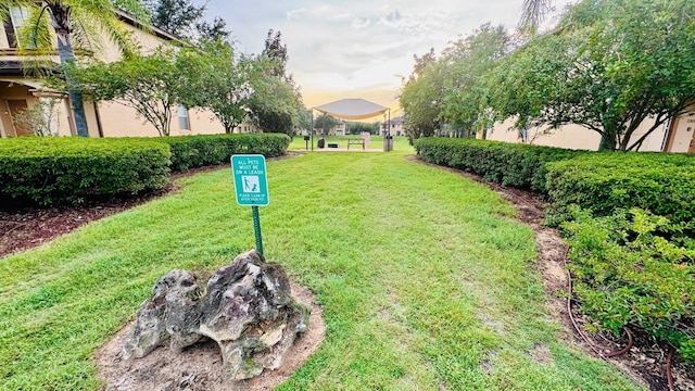 2214 Calabria Ave, Davenport, FL 33897 - view of yard