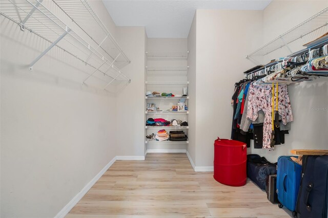 walk in closet featuring light hardwood / wood-style flooring