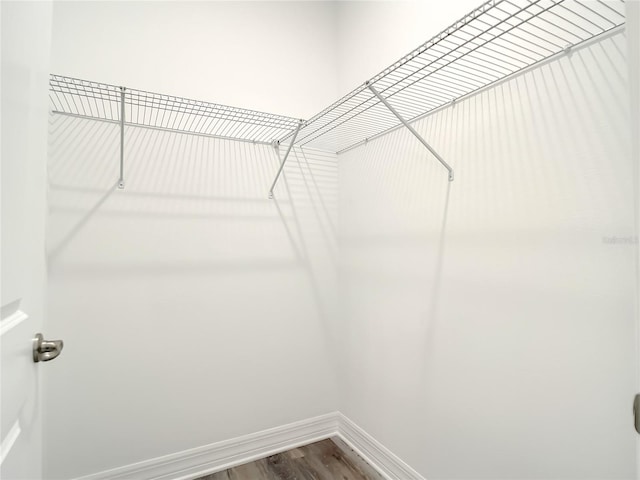 walk in closet with wood-type flooring