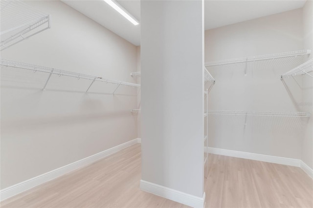 walk in closet featuring light wood-type flooring