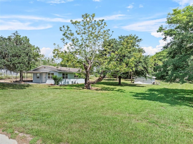 view of yard