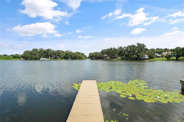 dock area with a water view