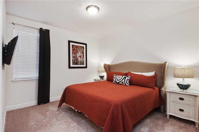 bedroom featuring carpet and a textured ceiling