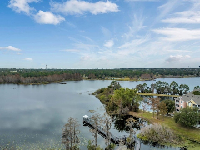 property view of water