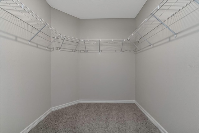 208 Hyacinth Ct, Kissimmee, FL 34759 - spacious closet with carpet floors
