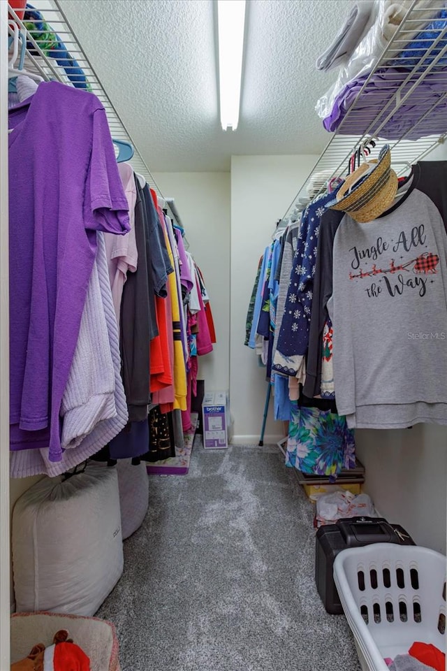 walk in closet featuring carpet flooring