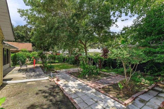 view of yard featuring a patio