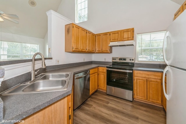 kitchen featuring sink, vaulted ceiling, ceiling fan, dark hardwood / wood-style flooring, and stainless steel appliances