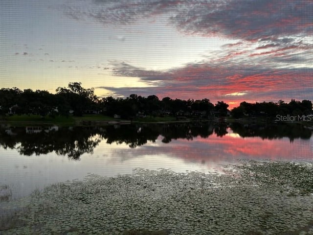 view of water feature